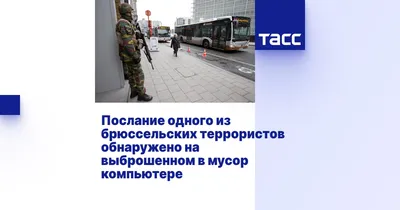 В Египте уничтожено 52 особо опасных террористов - АЗЕРТАДЖ