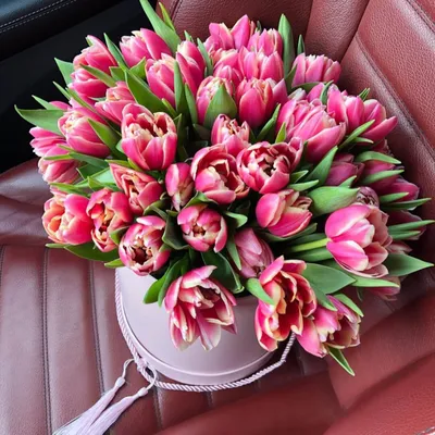 Тюльпаны, как на фото, 80 руб. | Beautiful flowers, Pretty flowers, Flowers  bouquet