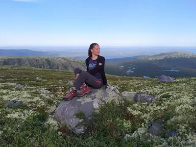 Пейзаж тундры» — создано в Шедевруме