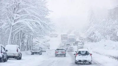 Зима, парк, снег, улица, первый снег, сказка | Snow, Outdoor