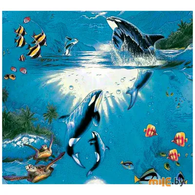 Обои виниловые на бумажной основе Fox Wallcoverings Касатка (6926) 0,53x10  м купить