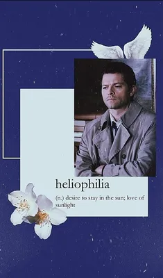 castiel aesthetic wallpaper | Сверхъестественное фэндом, Сверхъестественное  мемы, Сверхъестественное