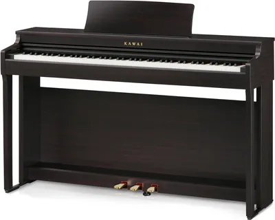 Kawai CN301 Digital Piano - Satin Black – Kraft Music