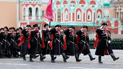 Казаки не любят слово «свобода». Люди. Нация