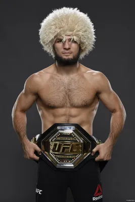 HD khabib wallpapers | Peakpx