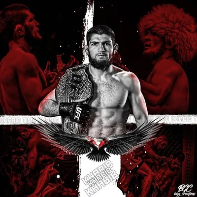 KhabibTheEagle666, Mma, Ufc, The Eagle, Khabib nurmagomedov, HD phone  wallpaper | Peakpx