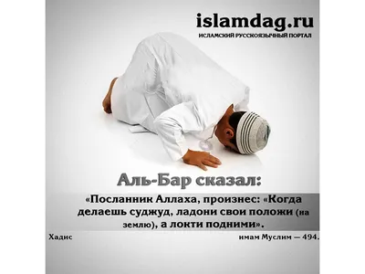 ⚠️Египетский абьюз 50 уровня. Как правильно бить жену в исламе. | Ольга о  Египте 🇪🇬 и не только | Дзен