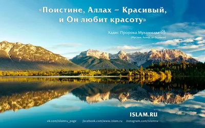 Генпрокуратура РФ не считает сборник хадисов Сахиха Аль-Бухари  экстремистским текстом