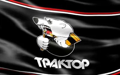 Каждый мог поставить против себя»: игрок Cyber Traktor — об обвинениях в  договорном матче