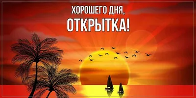 Красивые картинки \"Хорошего дня!\" (340 шт.)