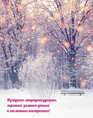 хорошегозимнегодня #хорошегодня #пожелания #хорошегонастроения | TikTok