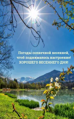 Картинки с надписями. Хорошего весеннего дня. Сегодня сплошных удач.