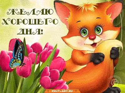 С добрым утром!🌞💐Самого хорошего дня и отличного настроения!🥰#сдобр... |  TikTok