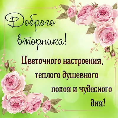 ХОРОШЕГО ВТОРНИКА! 14 ФЕВРАЛЯ. #доброе_утро #доброевидео #доброеутросп... |  TikTok