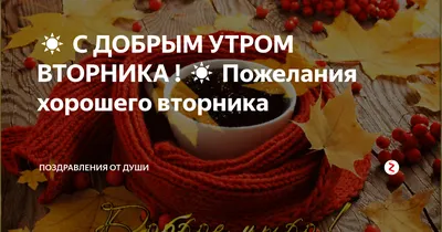 Доброе Утро! Хорошего Вторника! | Мультяшные Поздравления | Дзен