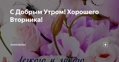 Добра, тепла и позитива вам 🤗 Яркого, самого хорошего вторника 😉