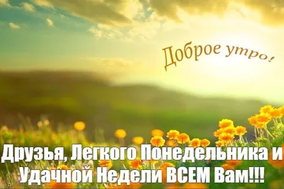 Лёгкого понедельника,удачной недели! ~ Открытка (плейкаст)