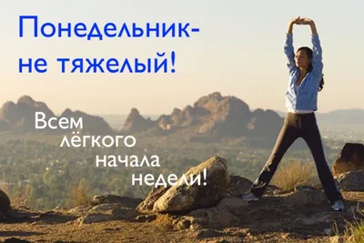 Доброе утро понедельника! Удачной недели!!!#спонедельником#доброеутроп... |  TikTok