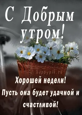 👍🏻 Хорошего понедельника и удачной недели ! | Поздравления, пожелания,  открытки с Рождеством! | ВКонтакте