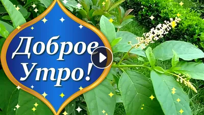 Красивые картинки - Хорошей Субботы! (41 фото)