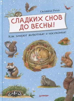 Сладких Снов, г. Иваново: официальный сайт, постельное белье, каталог,  фото, отзывы