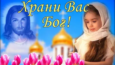 Храни Вас Господь наши Родные! 🌾🕊️🌾 📌Если ты предстоишь пред Богом и  просишь или стучишь, то стучи.. | ВКонтакте