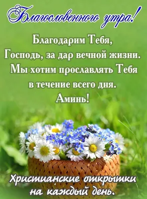 Пожелания хорошего дня в картинках, своими словами, в стихах, в смс и христианские  пожелания доброго дня — Украина