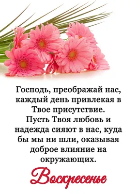 Пожелания хорошего дня в картинках, своими словами, в стихах, в смс и христианские  пожелания доброго дня — Украина