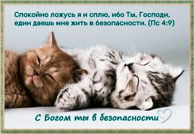 Ми намагаємося все зрозуміти головою, але Бог хоче відкривати Своє серце. |  ХРИСТИАНСКИЕ ПОЖЕЛАНИЯ))) | ВКонтакте