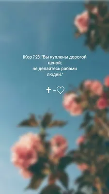 Пин от пользователя Соломія на доске Вірші з Бібліі | Христианские цитаты,  Христианские картинки, Счастливые картинки