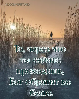 Pin by Христианские открытки on Доброго времени суток | Words, Good  morning, Verses | Библейские цитаты, Христианские картинки, Христианские  цитаты