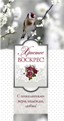 Главная новость года: ХРИСТОС ВОСКРЕС! - РИСУ