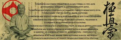 Во Владивостоке пройдет «Кубок Dojo» по киокушинкай каратэ — СПОРТ25