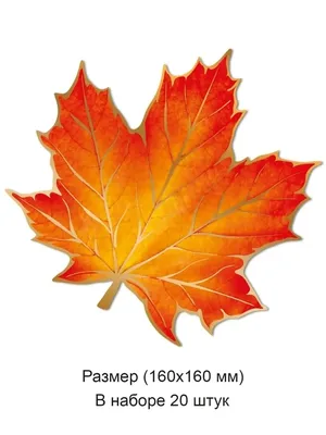 Free: Autumn Leaves Maple Leaf - Кленовый Лист Вектор Png - nohat.cc