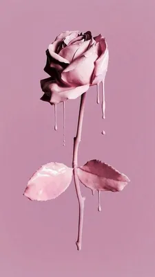 Dreams of Flowers\" - made using starryai. app : r/iphonewallpapers