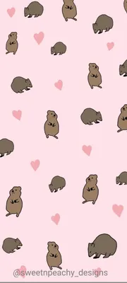 Cute quokka phone wallpaper #designedbyus | Quokka, Quokka animal, Cute  quokka wallpaper