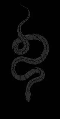 ОБОИ НА ЗАСТАВКУ ТЕЛЕФОНА | Snake wallpaper, Black wallpaper iphone, Black  wallpaper iphone dark