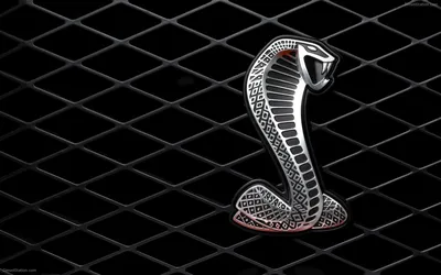 Скачать обои \"Кобра (Cobra)\" на телефон в высоком качестве, вертикальные  картинки \"Кобра (Cobra)\" бесплатно