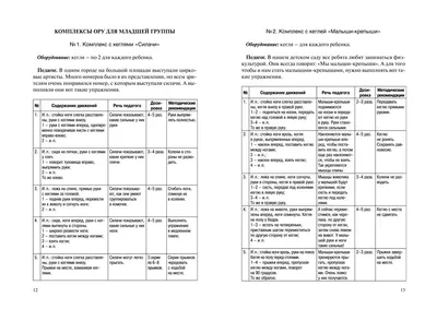 Здоровый дошкольник. Организация двигательной активности детей дошкольного  и младшего школьного возраста с нарушениями зрения - купить книгу в  интернет магазине, автор Баатр Егоров - Ridero