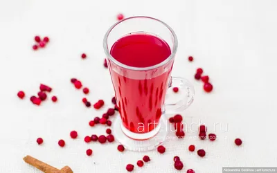 Kompot - GastroSenses