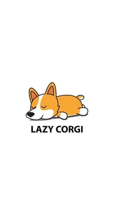 Pin by srirahayufns on Animal | Corgi funny, Corgi art, Cute corgi