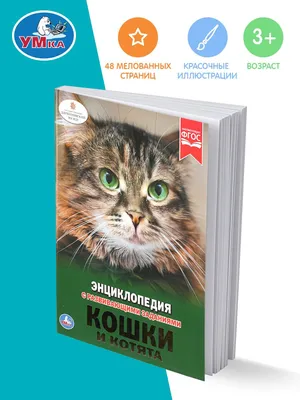 Кошка Картинка Для Детей