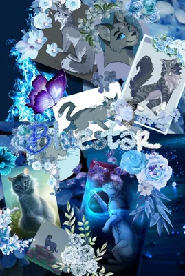 Bluestar//Warrior cats// | Warrior cats, Warrior cats fan art, Warrior cats  art