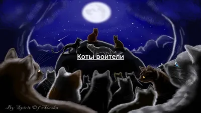 Обои на рабочий стол с КВ (для ноутбука) — Трикки — тесты для девочек