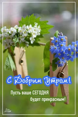 Доброе утро! 🌸 \"Доброе утро\" - щебечет природа... 🌸 Доброго утра желаю  тебе!🌸 Good morning! - YouTube