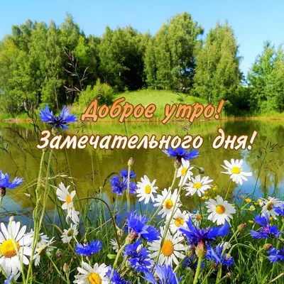 Природа доброе утро изображение с белым цветком