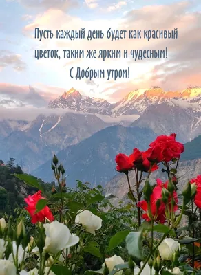 Картинки с красивой природой и пожеланием Доброго утра. | Доброе утро,  Картинки, Милые открытки