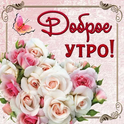 Идеи на тему «Утро» (38) | доброе утро, парижское искусство, букет фрезий