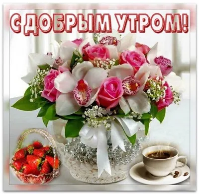 ДОБРОЕ УТРО! СПОКОЙНОЙ НОЧИ. КРАСИВЫЕ ПОЗДРАВЛЕНИЯ ДЛЯ ВАС!💌 | Facebook