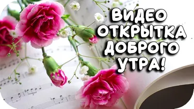 Картинки \"с Добрым утром\" красивые (115 штук)